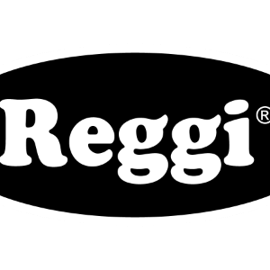 MOTOS REGGI MOTOS REGGI